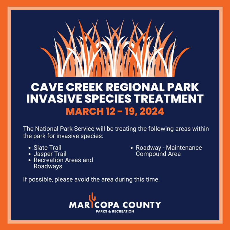 Cave_Creek_Regional_Park_-_Invasive_Species_Treatment_-_March_-_Revised