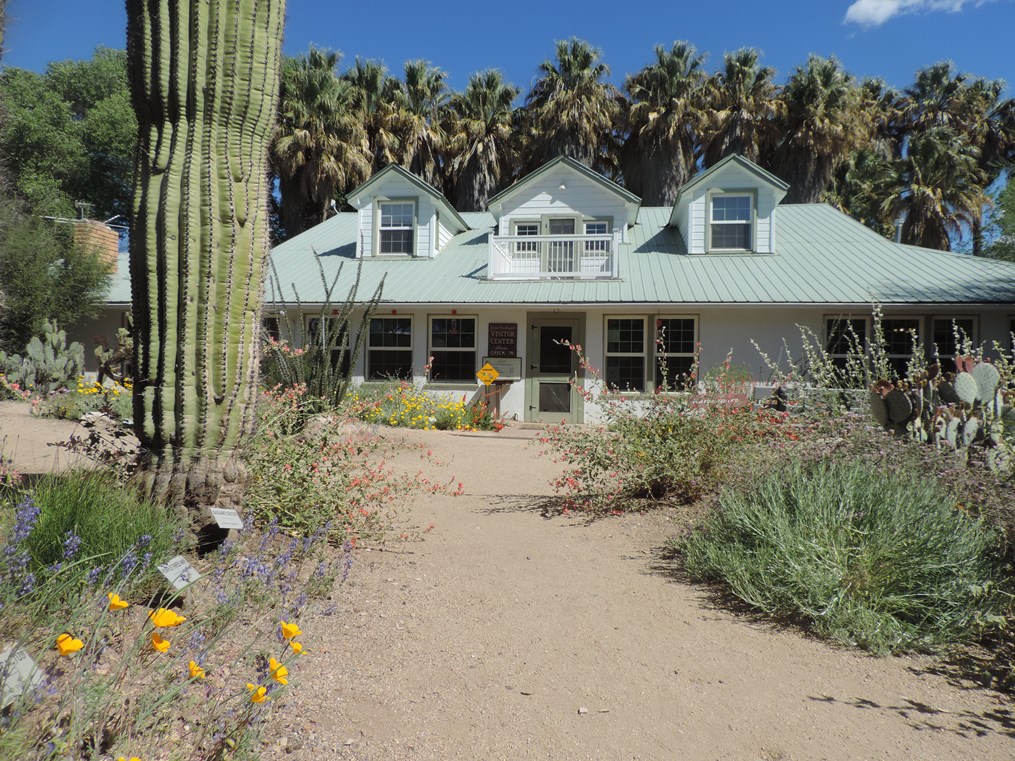 White visitor center building with a green metal roof, surrounded by desert plants, cacti, and palm trees under a bright blue sky.
