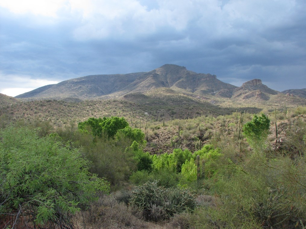 Wide desert landscape with green vegetation and scattered saguaro cacti in the foreground, rugged mountains in the distance, and dark storm clouds overhead.