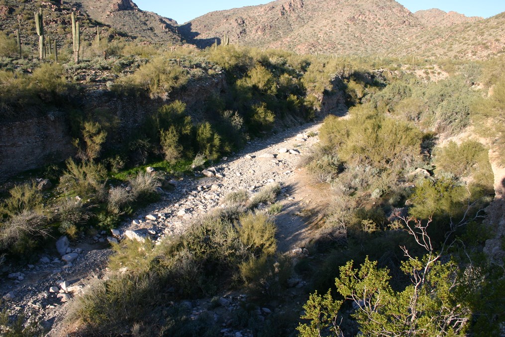 Dry desert wash winding between rocky banks and shrubs with saguaro-dotted hills in the background.