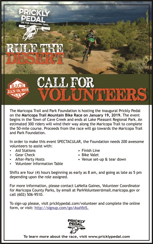 SinglePageCallForVolunteers
