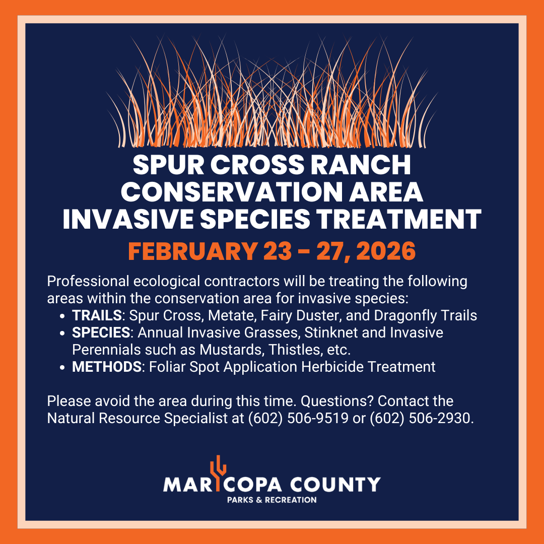 Spur_Cross_-_February_23_-_February_27_-_Posted