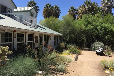 Visitors explore interactive exhibits inside the Discovery Center at Lake Pleasant Regional Park, with displays, informational panels, and overhead bird silhouettes.