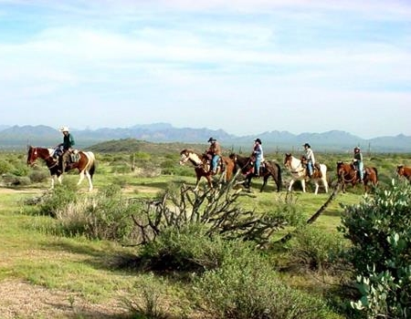 Group of horseback riders traveling single file along a desert trail at McDowell Mountain Regional Park, with low vegetation and mountain views in the background.