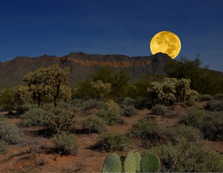 A full moon rises over desert mountains at Usery Mountain Regional Park, illuminating cacti and desert vegetation in the foreground.