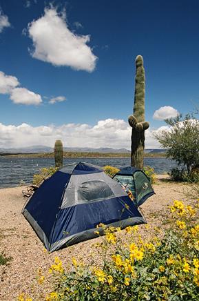 Lake Pleasant Regional Park Map