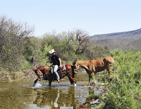 A person rides a horse through a shallow desert stream while another horse follows, surrounded by desert vegetation and distant hills in the Spur Cross Ranch Conservation Area.