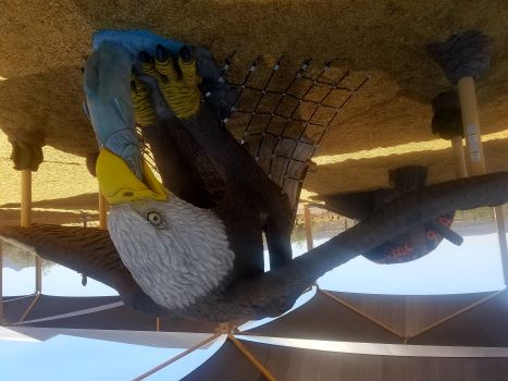Large bald eagle playground structure with outstretched wings, climbing net, and slide element, set on wood chip ground covering beneath shade canopies in a desert park setting.