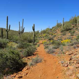 things to do maricopa county parks recreation