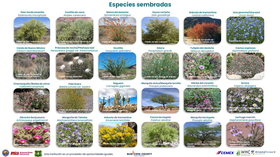 Especies_sembradas_-_Page_2