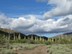 metate_trail