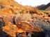 black_rock_petros_for_OPAC