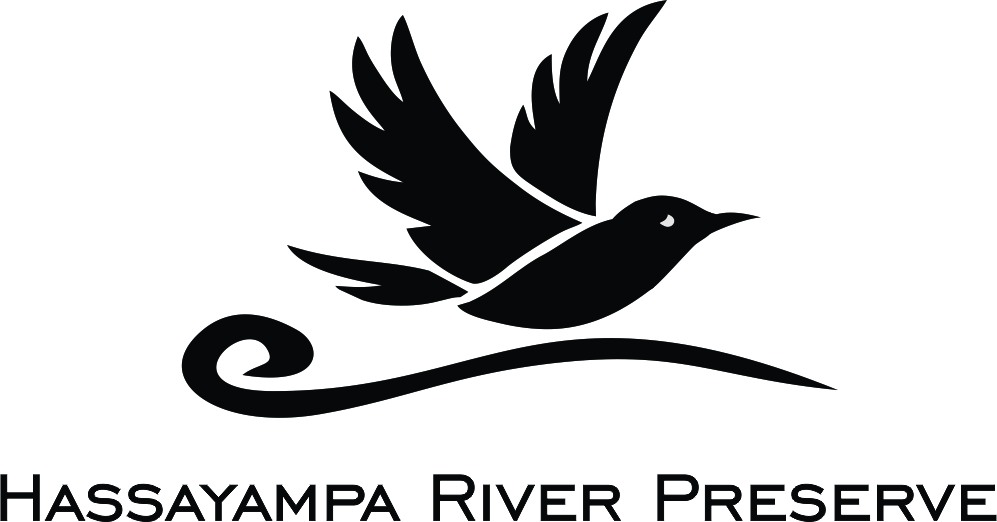 Hassayampa_River_Preserve_-_FullWeb