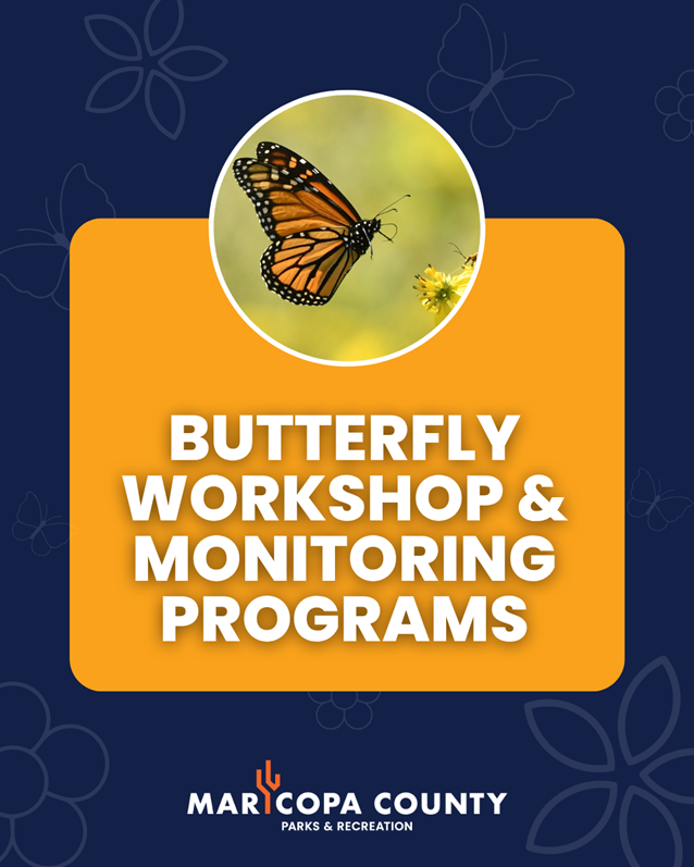 Butterfly_Workshop_and_Monitoring_Programs