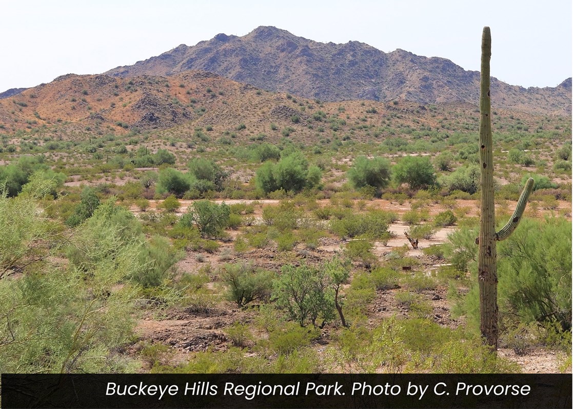 CProvorse-BuckeyeHillsRegionalPark