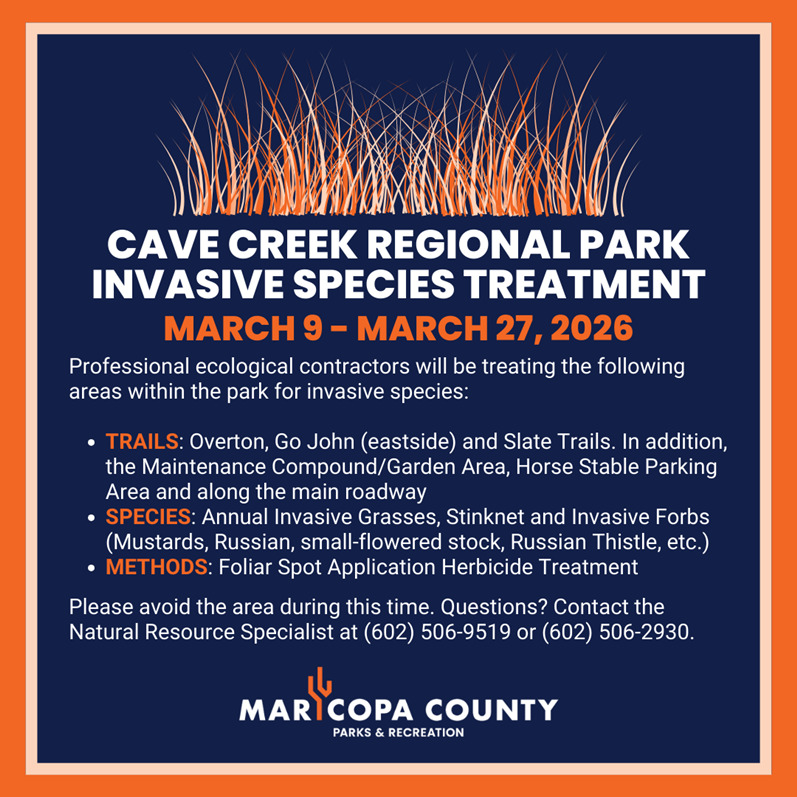 Cave_Creek_-_March_9_-_March_27_-_Final