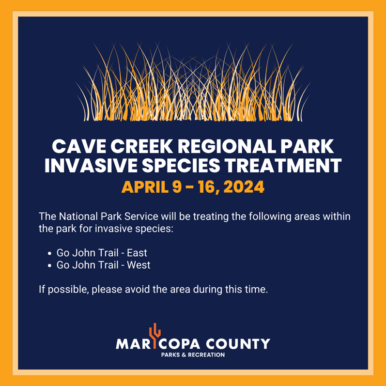 Cave_Creek_Regional_Park_-_Invasive_Species_Treatment_-_April_-_Revised