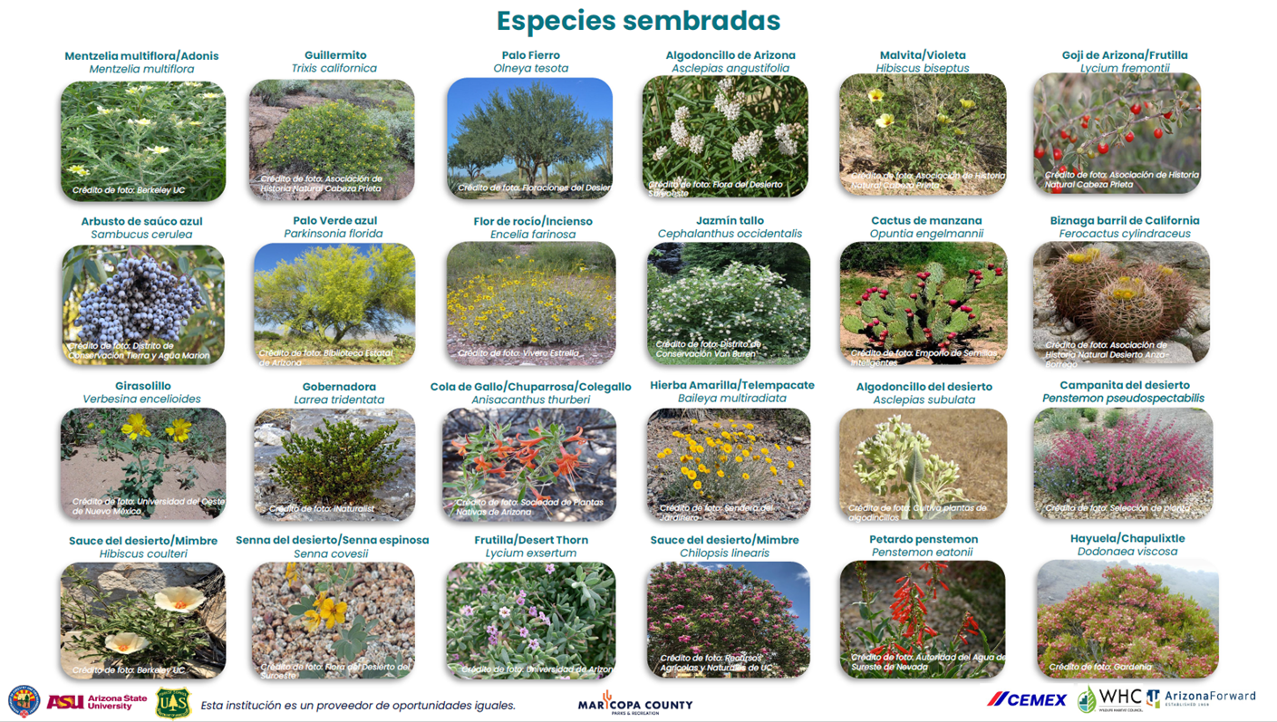 Especies_sembradas_-_Page_1