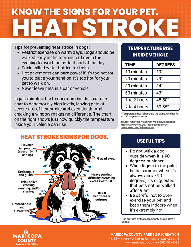 HEAT_STROKE_-_KNOW_THE_SIGNS_FOR_YOUR_PET