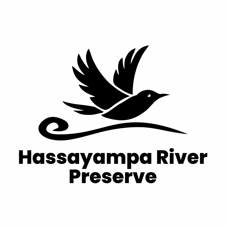 Hassayampa_River_Preserve