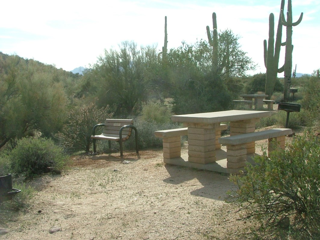 Picnic table and a memorial bench in a Maricopa County regional park desert setting surrounded by cacti and native vegetation.