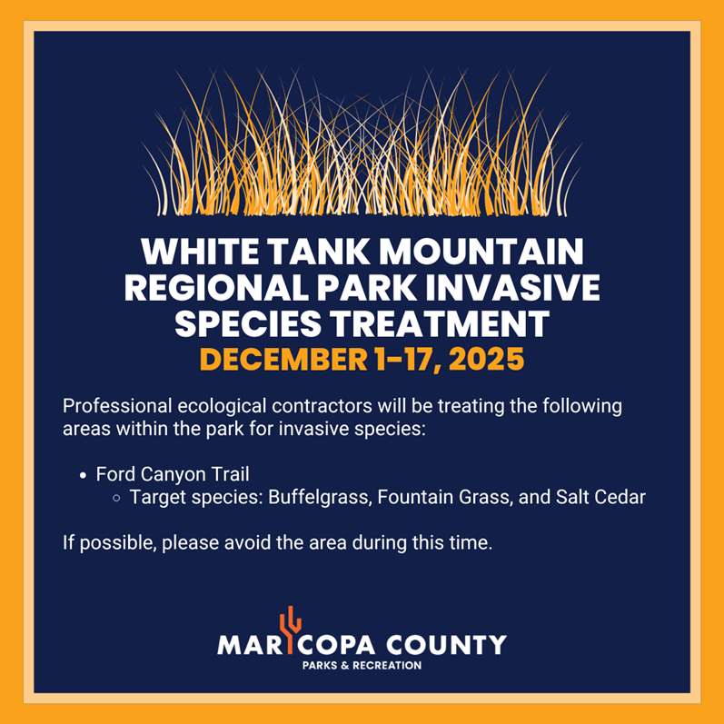 White_Tank_Mountain_-_Invasive_Species_Treatment