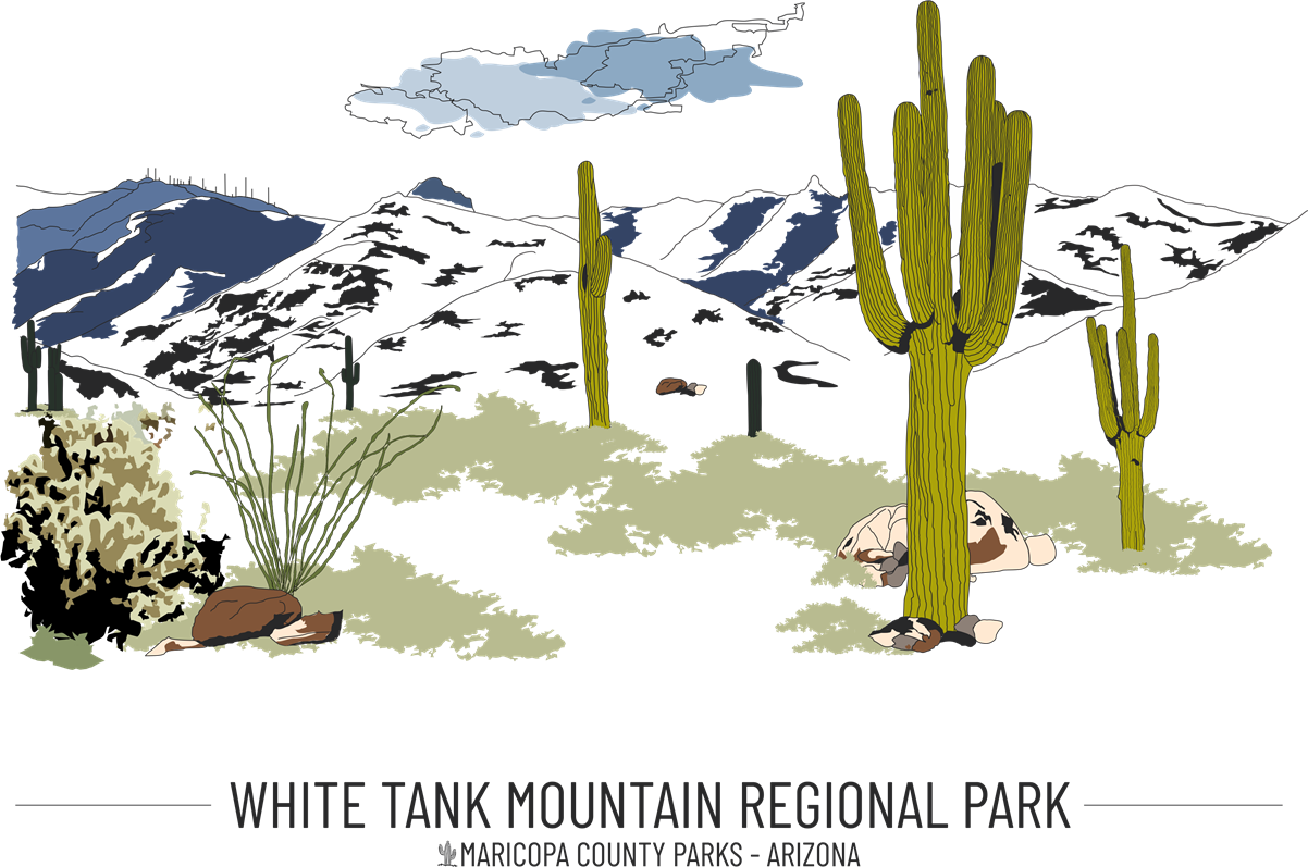 White_Tank_Mountain_Regional_Park_-_Wireframe