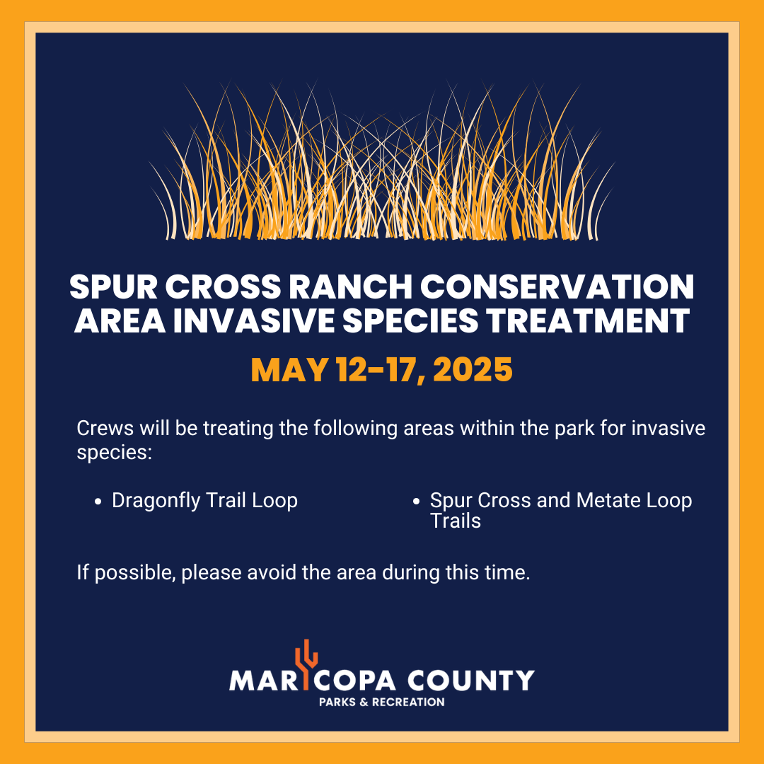 May_-_Spur_Cross_-_Invasive_Species_Treatment