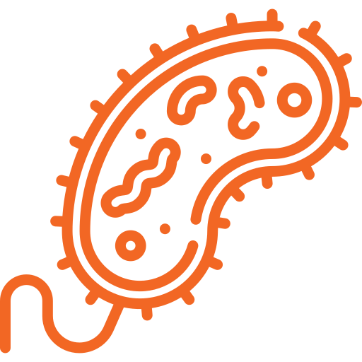 Orange_icon_of_an_organism
