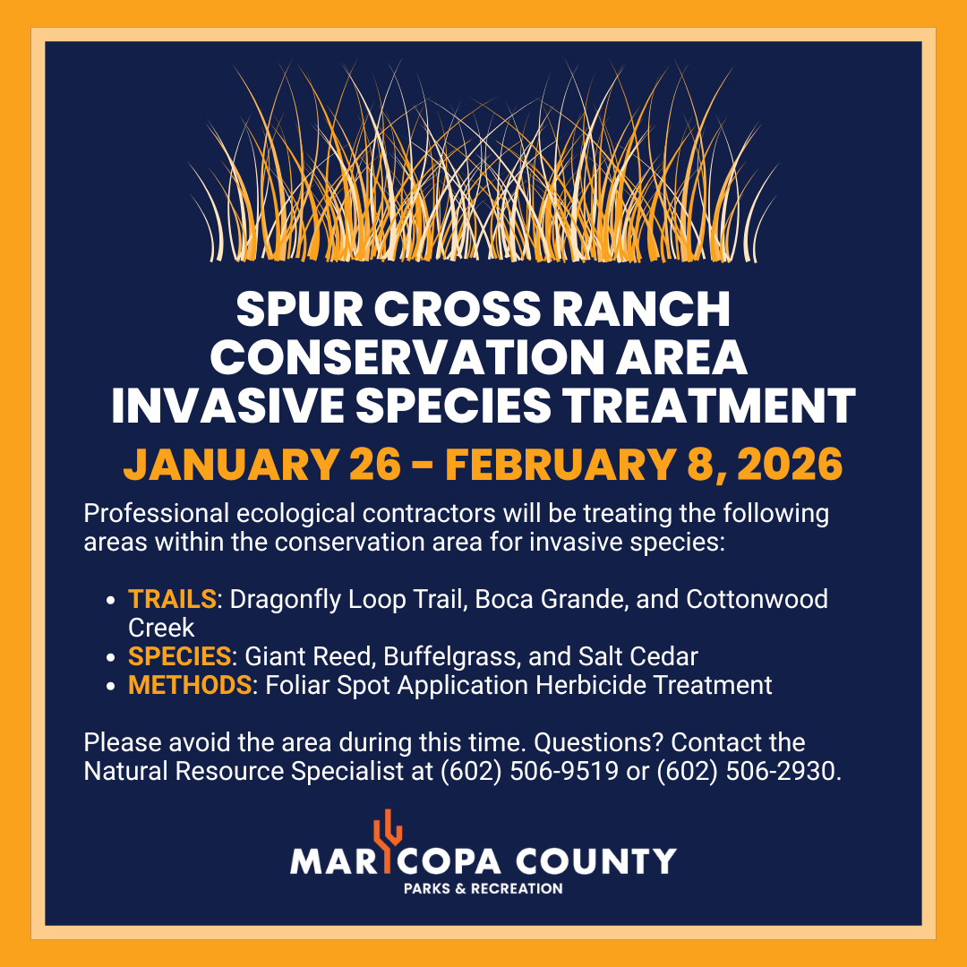 Spur_Cross_-_January_26_-_February_8_-_Final