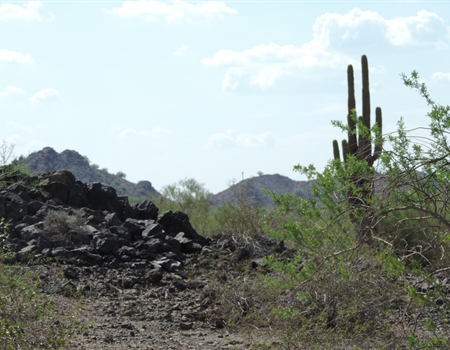 Rocky desert landscape at Buckeye Hills Regional Park with saguaro cacti, low vegetation, and distant hills under a partly cloudy sky