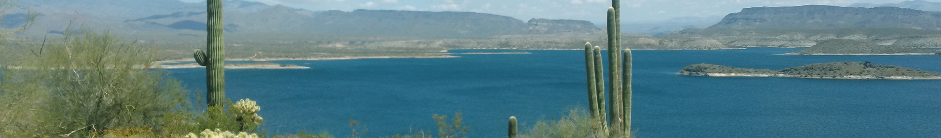 Lake Pleasant Az Depth Chart