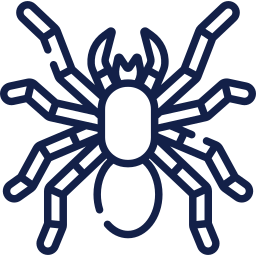Navy blue tarantula spider icon in simple line style.